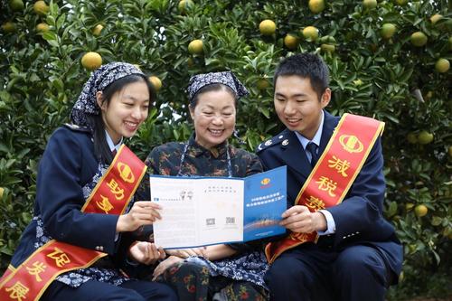 庆元县税务局成立"助农小分队"寻访甜橘柚生产基地,向农户普及农产品