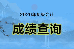 忘记了准考证号,如何查询初级会计考试成绩